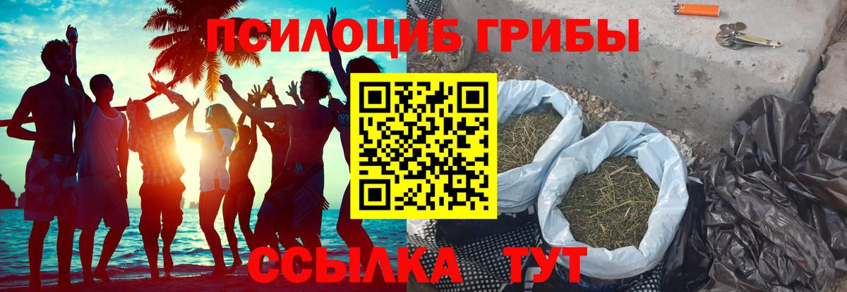 Галлюциногенные грибы Magic Shrooms  Вход с VPN  Норильск 